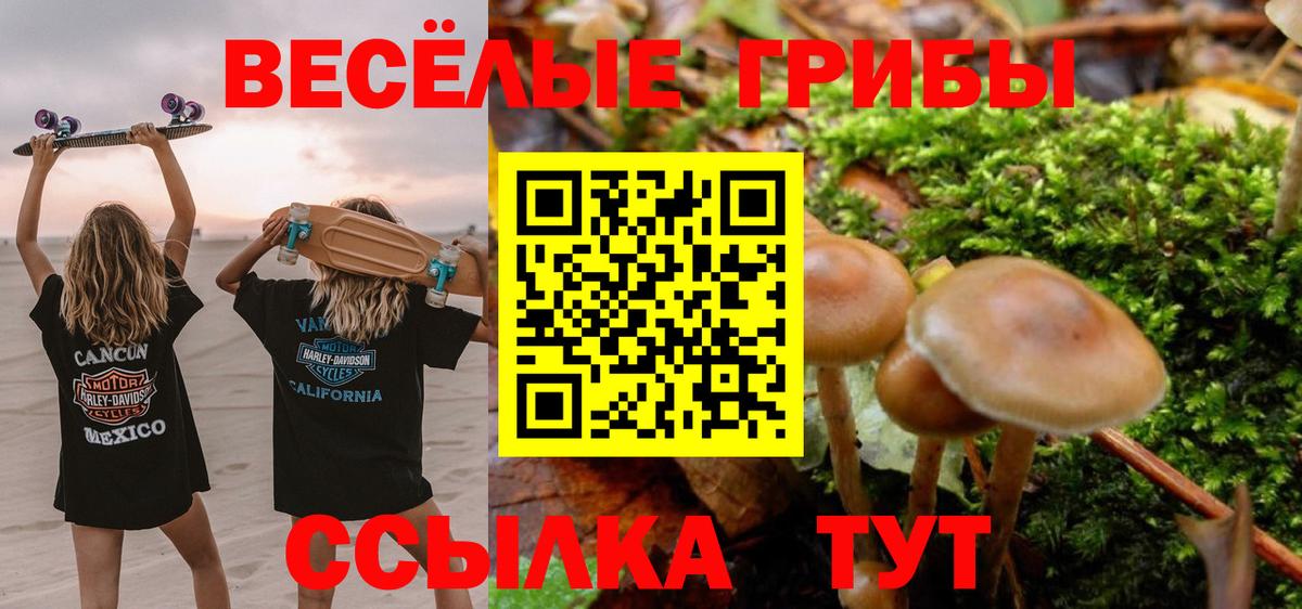 Галлюциногенные грибы Magic Shrooms  Вход с VPN  Барнаул 
