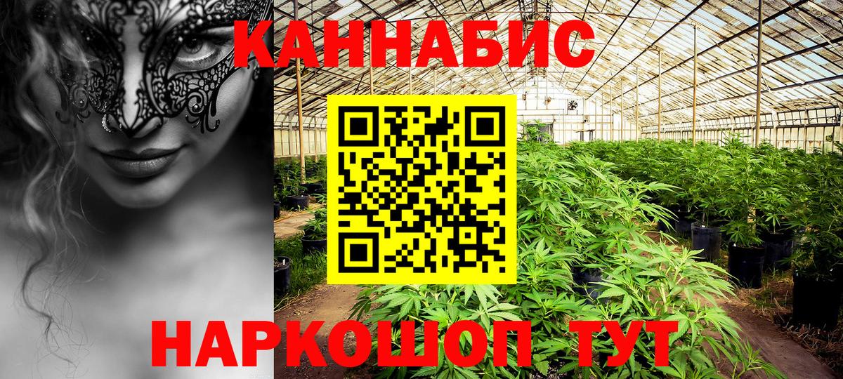 Конопля конопля  Вход с VPN  Бошки марихуана White Widow  Барнаул 